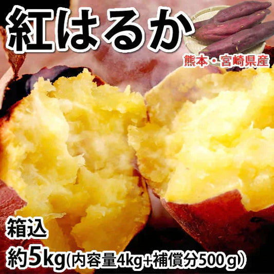 【10月中旬～下旬頃より順次出荷】さつまいも 紅はるか 訳あり 5kg 箱込（内容量4kg＋補償分500g) 送料無料 熊本・宮崎県産 お取り寄せ サツマイモ 紅蜜芋 焼き芋 芋 いも