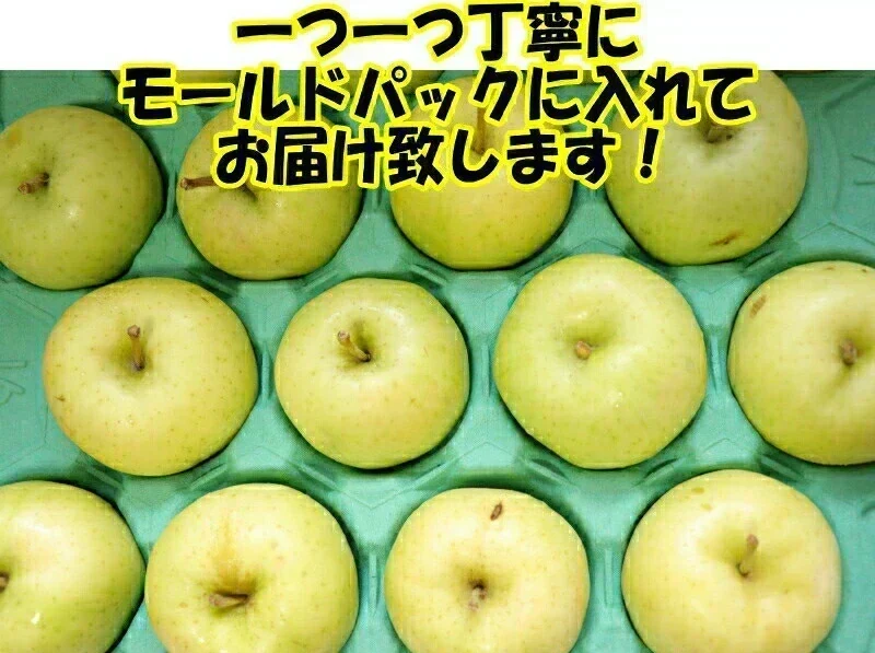 即日発送！青森県産 りんご トキ 10kg箱 家庭用/訳あり ★トキ 家訳 10kg箱