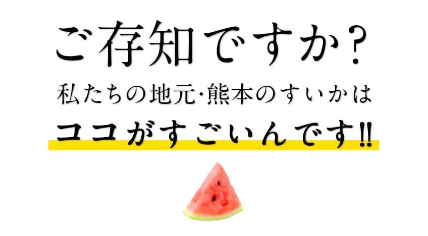 すいか 熊本県産 送料無料 訳あり スイカ 熊本すいか 1玉 S〜Mサイズ 4kg以上 果物 フルーツ 旬 食品 7-14営業日以内に出荷予定(土日祝日除く)