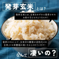 圧倒的に旨い！雑穀米本舗 国産 発芽玄米 4kg(400g×10袋) 徳用サイズ 無添加 無着色 送料無料