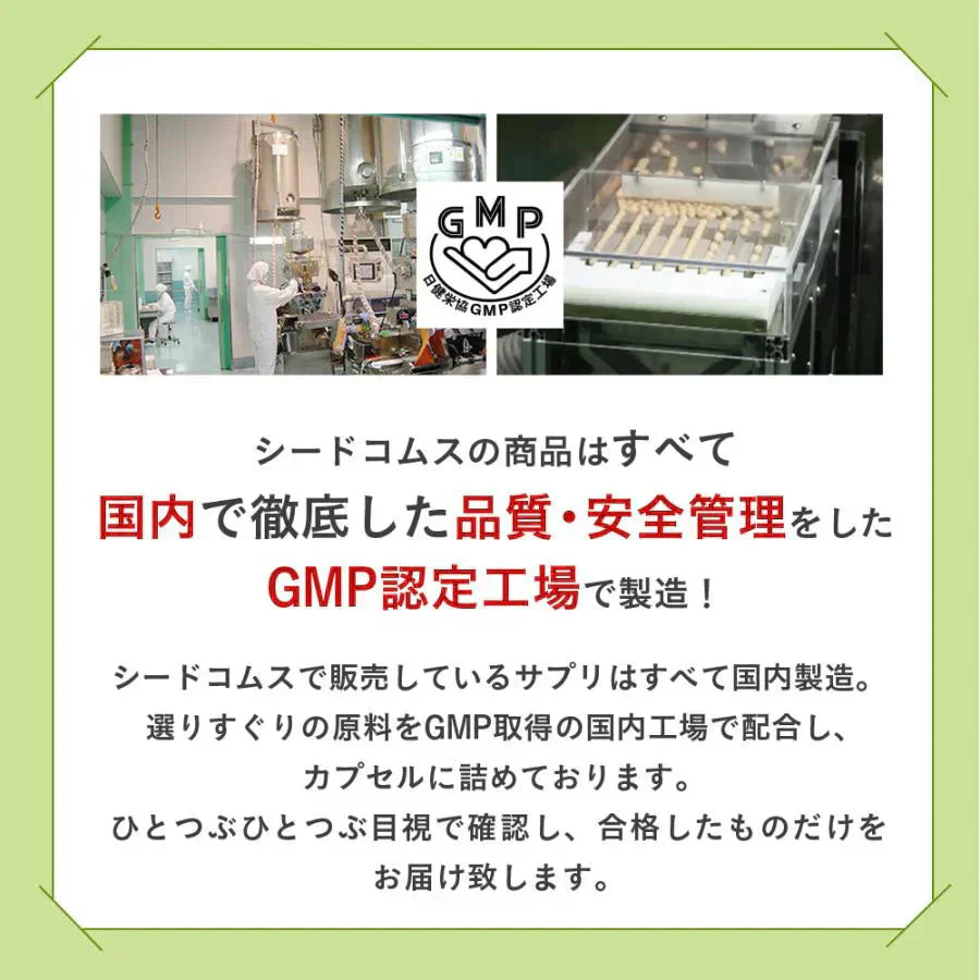 まいにち酵素《約1ヶ月分》野草 果実 海藻 キノコ 豆類を使用 送料無料 酵素サプリ
