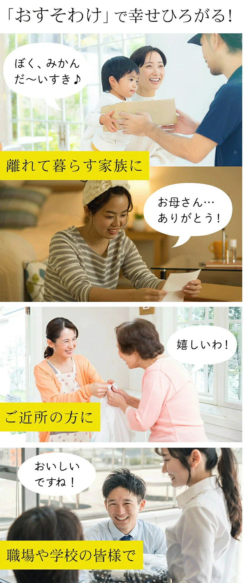 デコみかん たっぷり 8kg みかん 訳あり クール便 不知火 ミカン 熊本県産 デコポン と同品種 熊本 柑橘 美味しい みかん 産地直送 箱 でこ mikann くまもと風土 《1-5営業日以内に頃より発送予定》