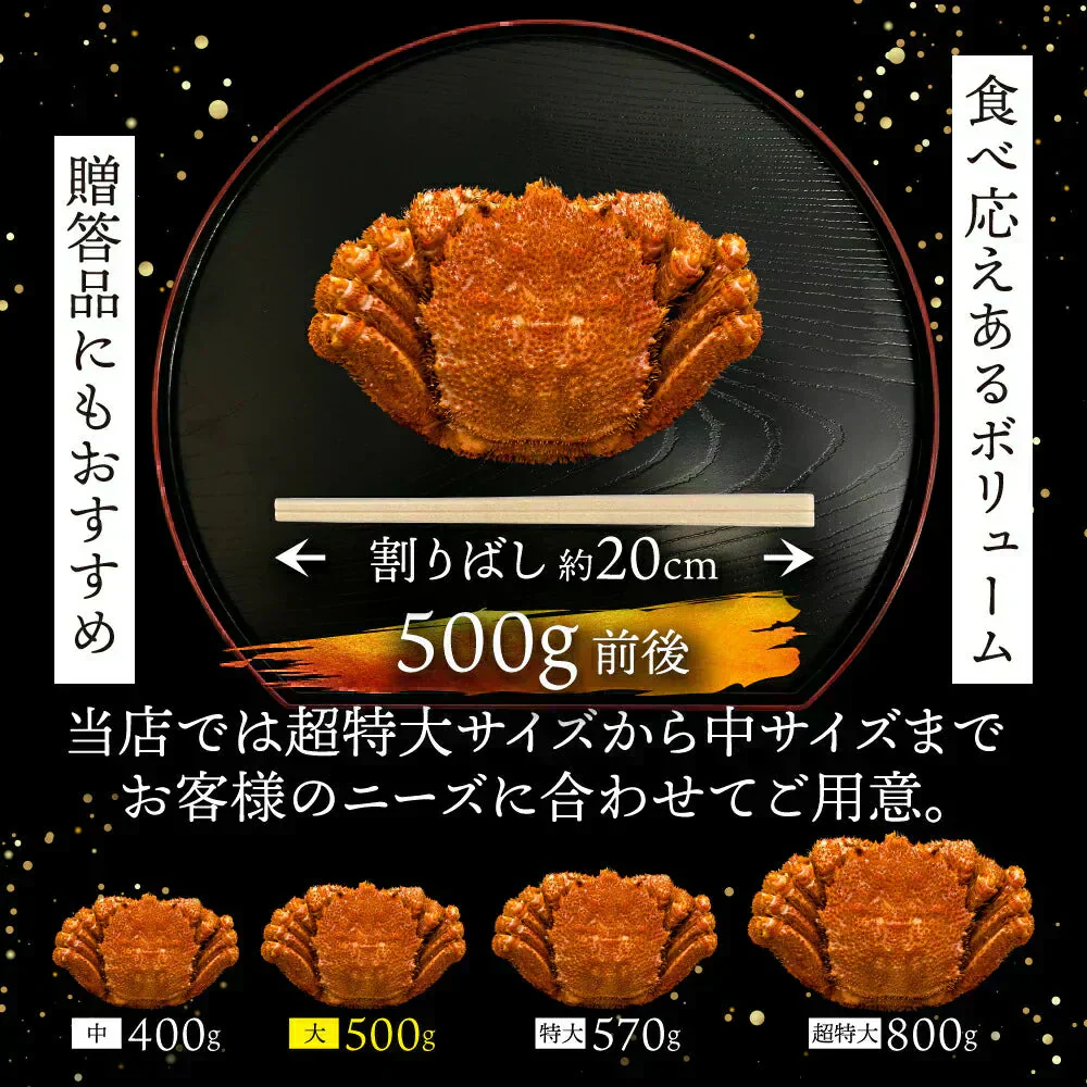 ！！1尾より断然お得！13,960円→今なら6,980円（6,980円引き）北海道産  浜茹で毛蟹 約500g×2尾【本州・四国エリア送料無料】オホーツク海の流氷明けで水揚げされた堅蟹を新鮮なままボイルしてます！