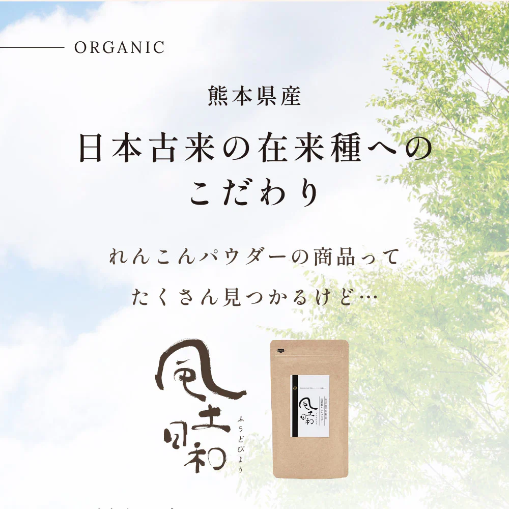 風土日和 国産れんこんパウダー 無農薬 無添加 70g 賞味期限：2024年6月5日 カウシェ限定 | オーガライフ