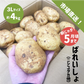 国産 新じゃが 約4kg 3Lサイズ 九州産他 ニシユタカ 新じゃがいも