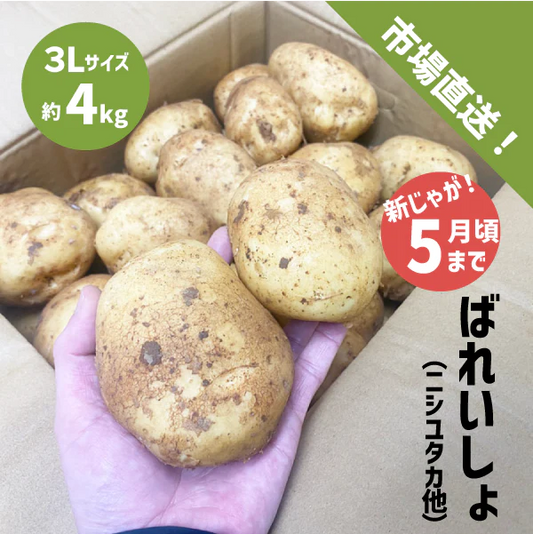 国産 新じゃが 約4kg 3Lサイズ 九州産他 ニシユタカ 新じゃがいも