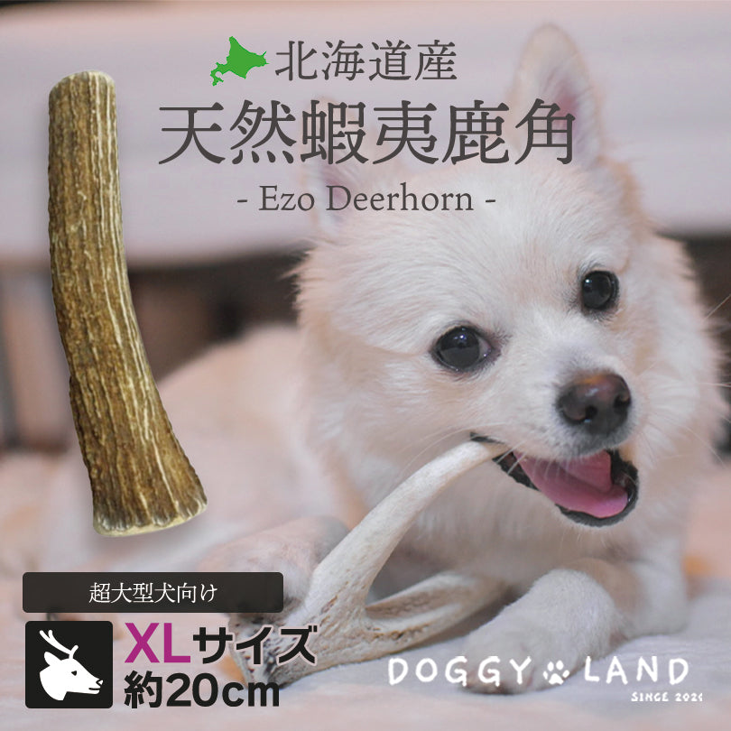 Deerhorn【XLサイズ】 北海道産 鹿角 ペット 犬 おもちゃ 超大型犬 プレゼント いたずら防止 おやつ デンタルケア ガム 犬用 鹿の角 天然 無添加 セントバーナード シベリアンハスキー バーニーズ いぬ イヌ