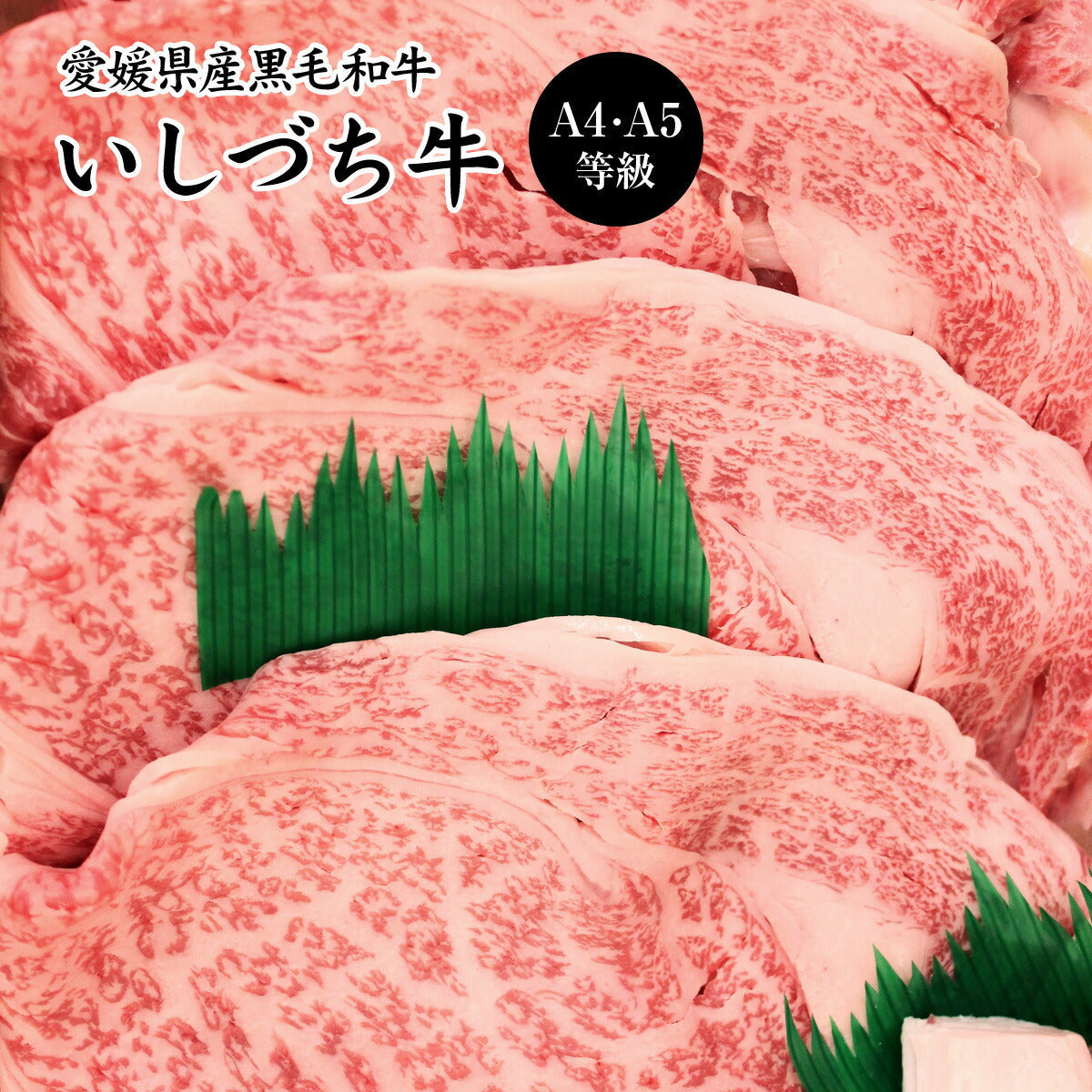 愛媛県産いしづち牛 厳選！雌黒毛和牛 リブロース すき焼きセット 約650g (A4-A5等級)