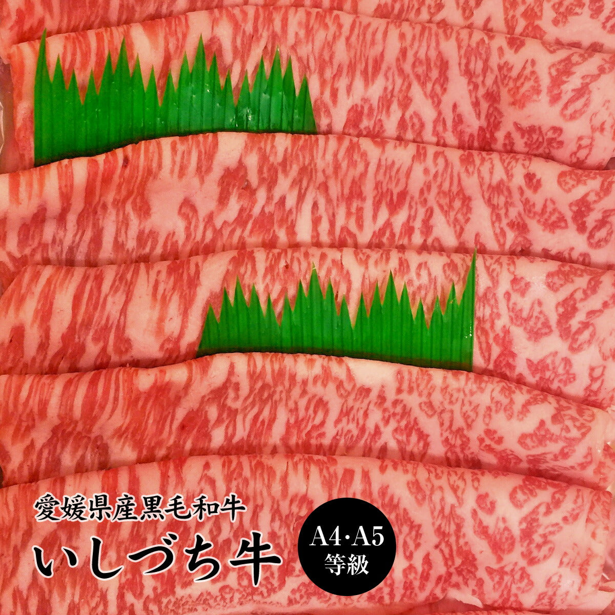 愛媛県産いしづち牛 厳選！雌黒毛和牛 サーロイン しゃぶしゃぶセット 約500g (A4-A5等級)