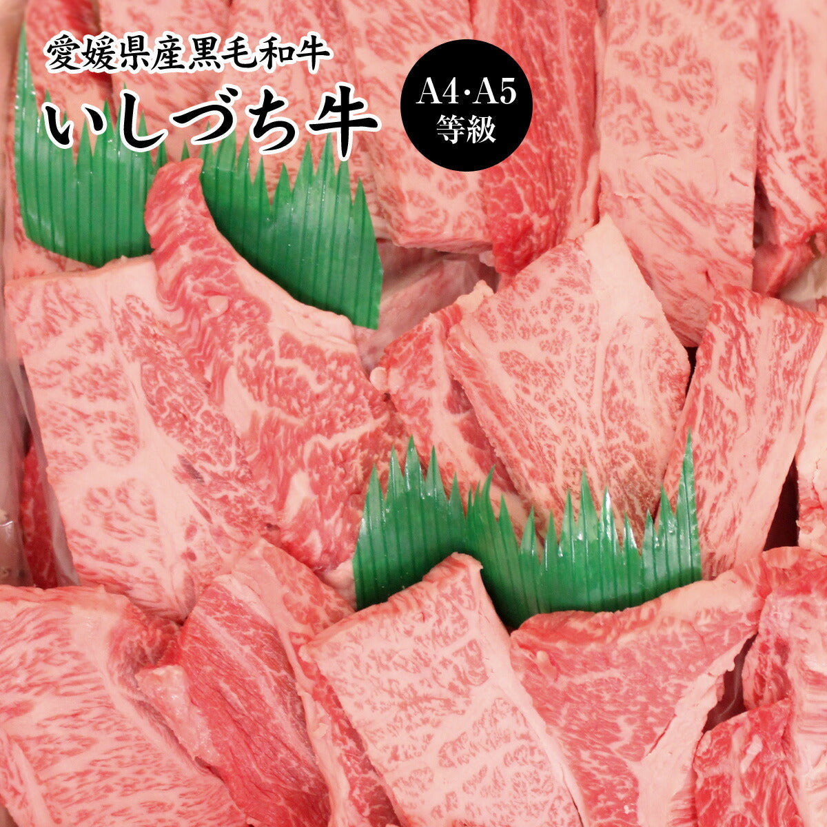 愛媛県産いしづち牛 厳選！雌黒毛和牛 肩ロース 焼肉セット 約550g (A4-A5等級)