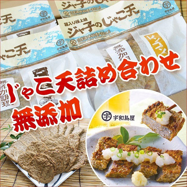 愛媛県名産品 無添加 じゃこ天詰め合わせ