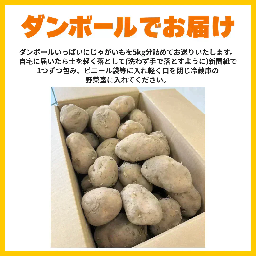 訳あり北海道じゃがいも　5kg