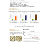米 2kg 福岡県産「元気つくし」福岡の自信作 金のめし丸 令和7年産 研ぐお米 九州産 数量限定 送料無料