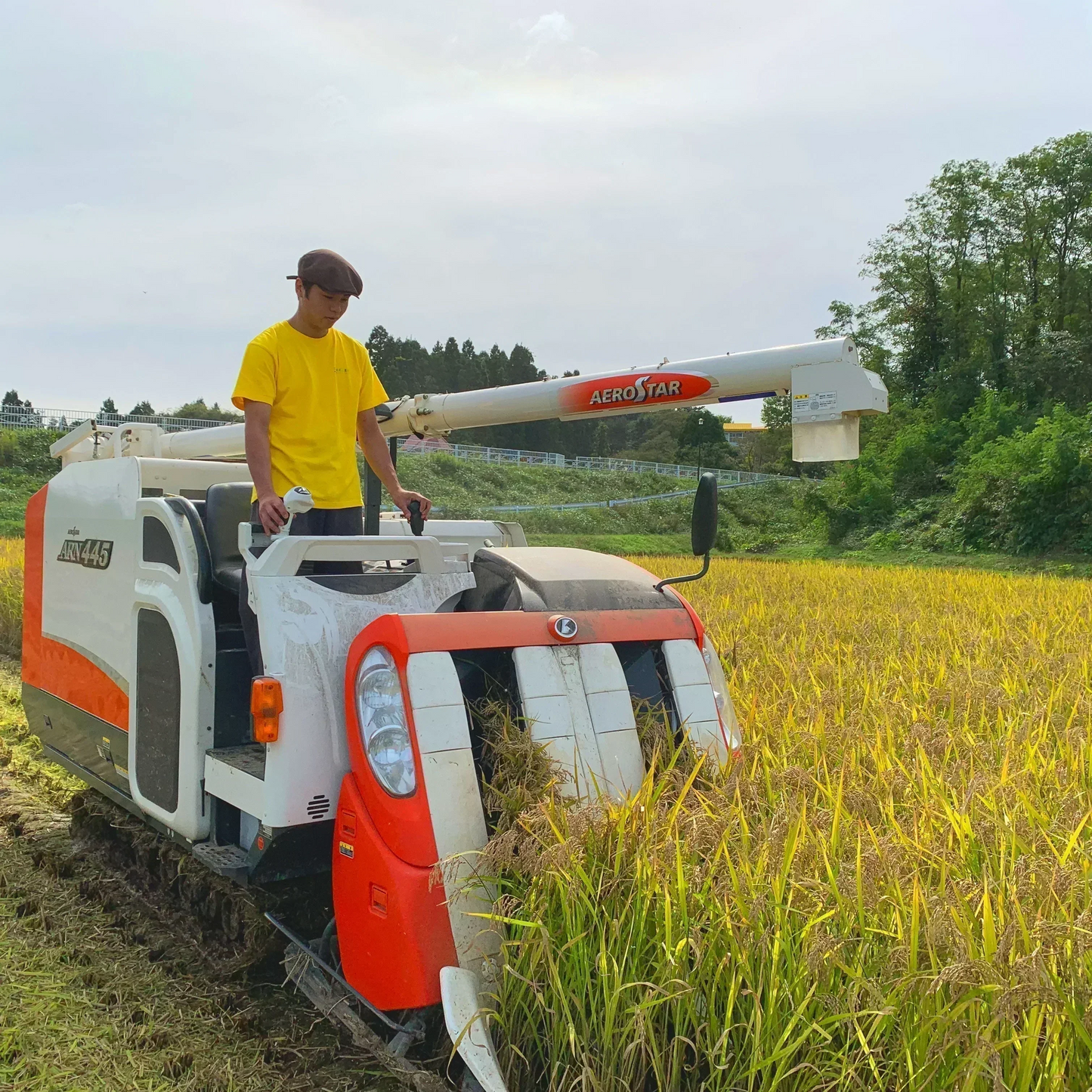 【精米セット】秋田県産あきたこまち 900g & ミルキークイーン 900g 令和5年産【古代米プレゼント付き】
