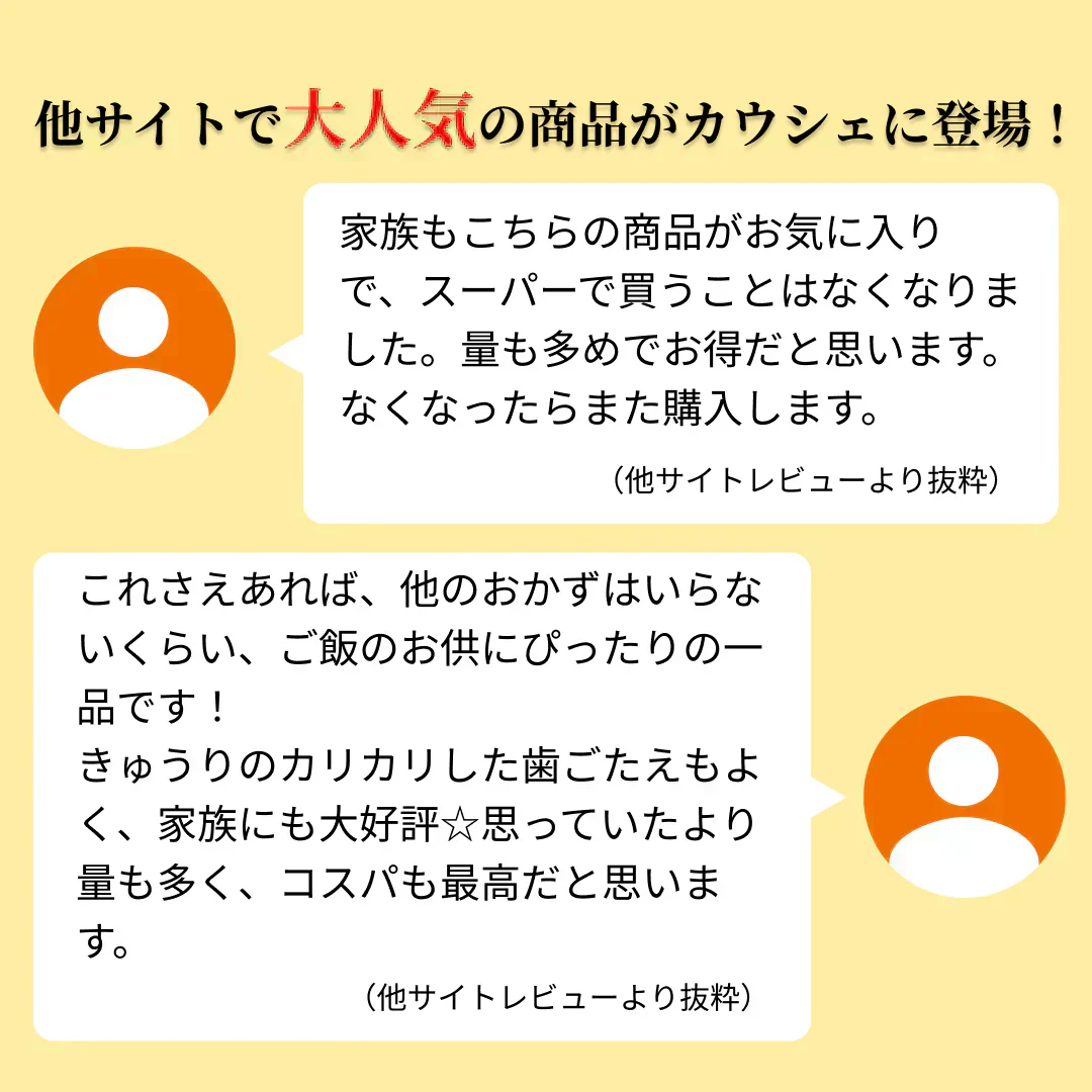 しば漬 漬物 きざみきゅうり漬け 600g（150g×4袋） 送料無料 ポッキリ 宮崎県産 お取り寄せ お取り寄せグルメ きゅうり しそ しょうが なす みょうが つけもの