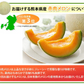 メロン 訳あり 小玉 赤肉メロン 4kg 送料無料  熊本県産 クインシーメロン フルーツ