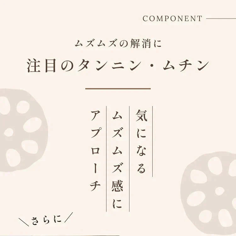 風土日和 国産れんこんパウダー 無農薬 無添加 70g | オーガライフ
