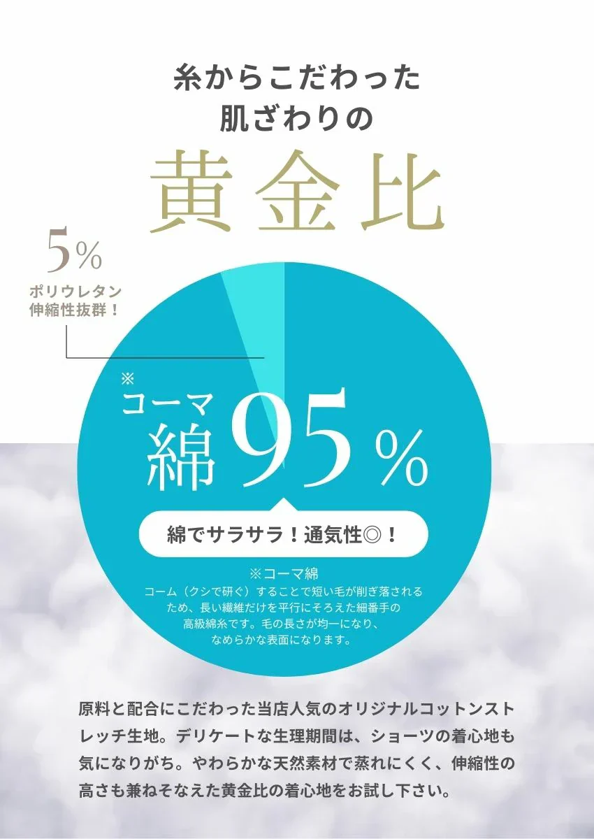 【ランキング連続受賞！】＼ Lサイズ ／1枚 高通気性ショーツ 吸水ショーツ 夜用 生理用ショーツ 優しい肌触り 前漏れ防止 後ろ漏れ防止 漏れない ショーツ フィット感抜群  産後 尿漏れ ナプキン不要 4層構造 超速吸収 多い日用 ショーツ レディース