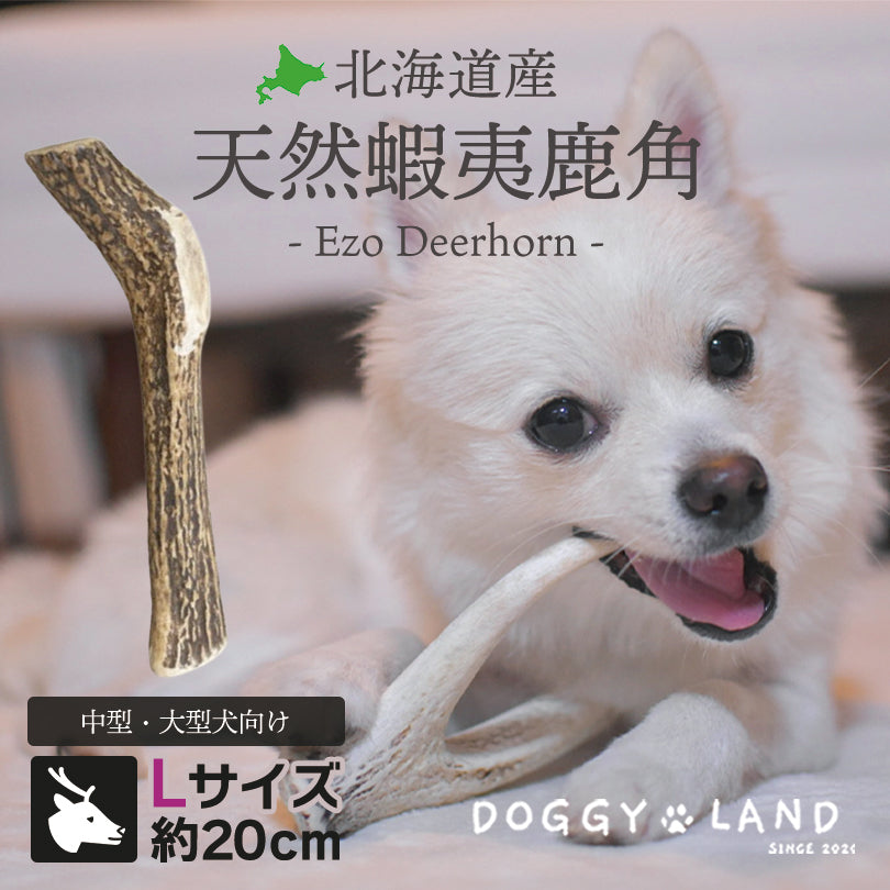 Deerhorn【Lサイズ】 北海道産 鹿角 ペット 犬 おもちゃ 大型犬 プレゼント いたずら防止 おやつ デンタルケア ガム 犬用 鹿の角 天然 無添加 ゴールデンレトリーバー ドーベルマン ダルメシアン