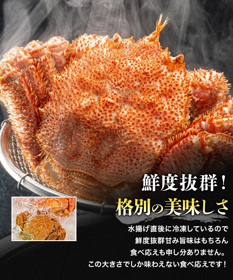 【数量限定】幻の巨大毛ガニ1尾約1ｋg 送料無料 《※冷凍便》 _姿_蟹 お取り寄せグルメ 食品 ギフト