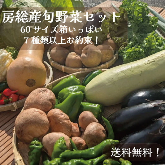 【60サイズ箱にギッシリ！房総産・大地の恵みを味わう得々野菜セット】当日採れたて直送！