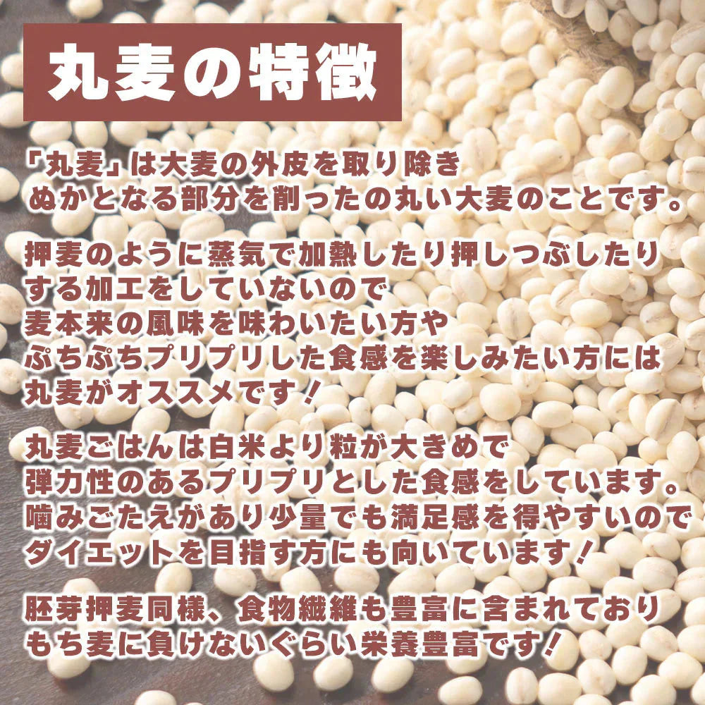 雑穀 雑穀米 国産 胚芽押麦 2.4kg(400g×6袋) ファミリーサイズ 無添加 無着色 送料無料