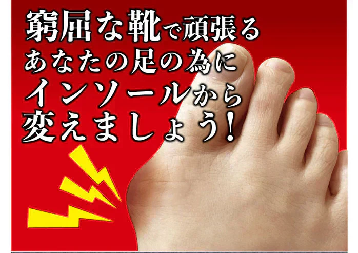 ガイハンインソール ・Mサイズ【外反母趾専用　インソール　ユビフリー　根本から補整　長時間　旅行　理想のアーチ　シューフィッター　足の専門家】中敷き 腰痛 骨盤 姿勢 衝撃吸収 腰らくインソール 骨格補正 衝撃吸収 アーチ アーチサポート 高反発 ハニカムゲル 姿勢矯正 靴脱げ防止 グッズ おすすめ 通販 人気