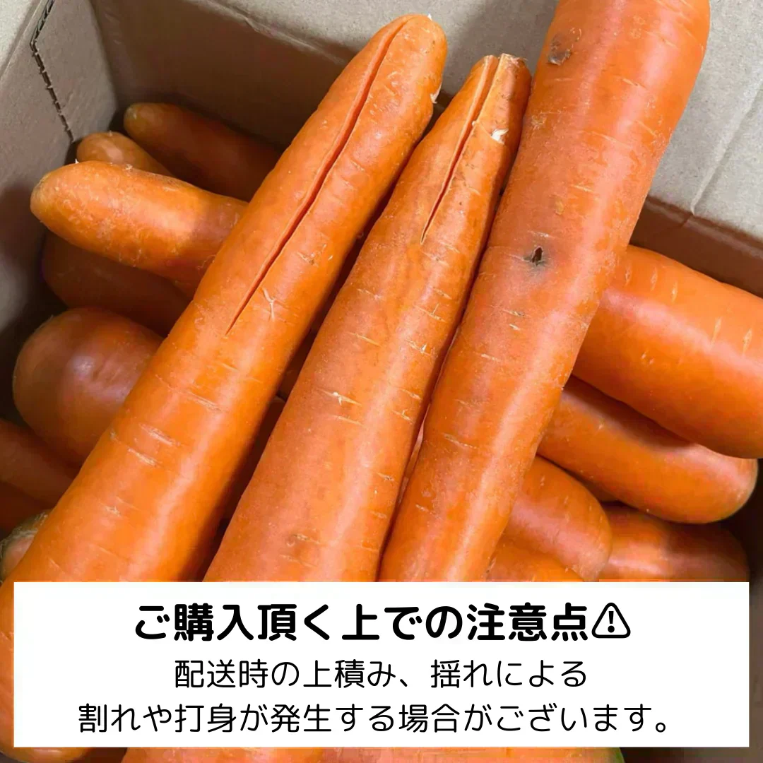 【有名飲食店やホテルも愛用！】甘〜い にんじん 約10kg フルーツ 人参 ニンジン 野菜 青果 食品 市場 やさい 訳あり 規格外 料理 カレー シチュー 贈答 ギフト
