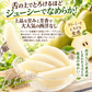 洋梨 ラ・フランス 5kg 山形産 フルーティーに香り立つ とろける甘さ ラフランス （発送予定:10月下旬より）