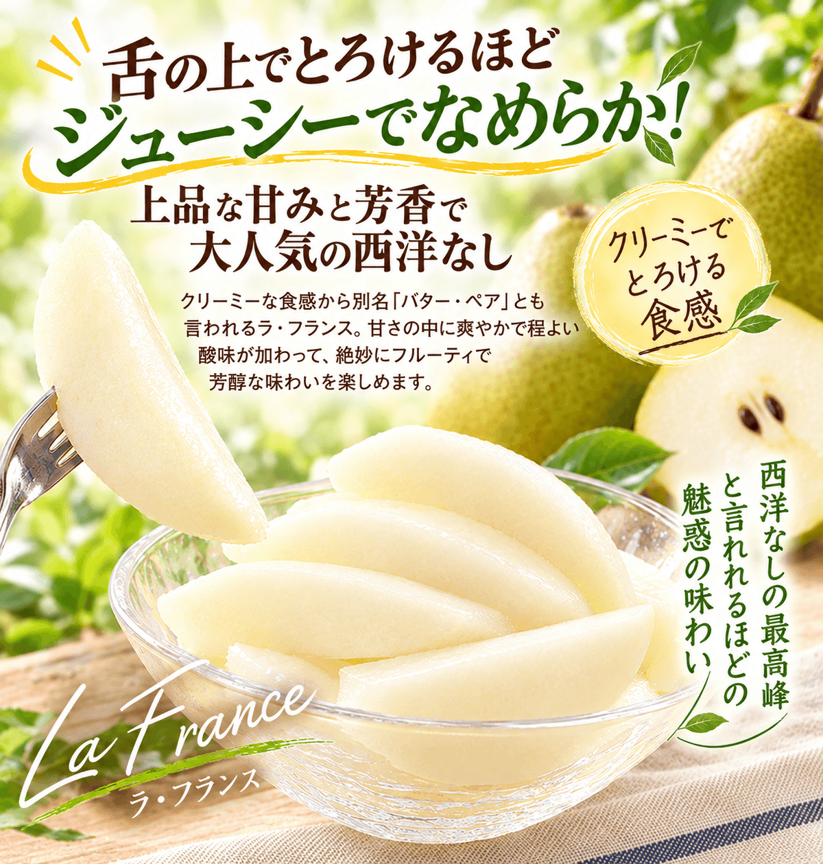 洋梨 ラ・フランス 5kg 山形産 フルーティーに香り立つ とろける甘さ ラフランス （発送予定:10月下旬より）