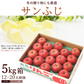【12月上旬-下旬頃ご注文受付順次】サンふじりんご　約5kg箱　12-20玉前後 樹上完熟りんごを産地直送