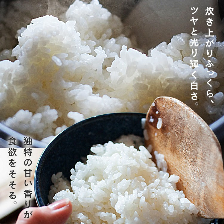 【カートアップNG】【ご新規さんとシェア買い】アイリスオーヤマ 低温製法米 新潟県魚沼産 こしひかり チャック付き 2kg