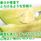 メロン 訳あり 送料無料 肥後グリーンメロン 約6～7kg 3～6玉 熊本県産 肥後グリーン フルーツ お取り寄せ