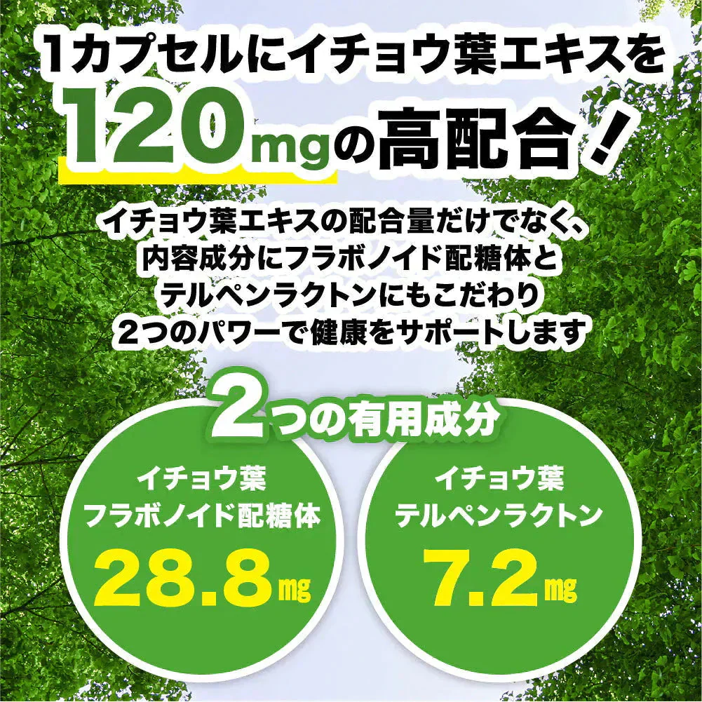 イチョウ葉エキス（約1ヶ月分）イチョウ葉　サプリメント DHA EPA