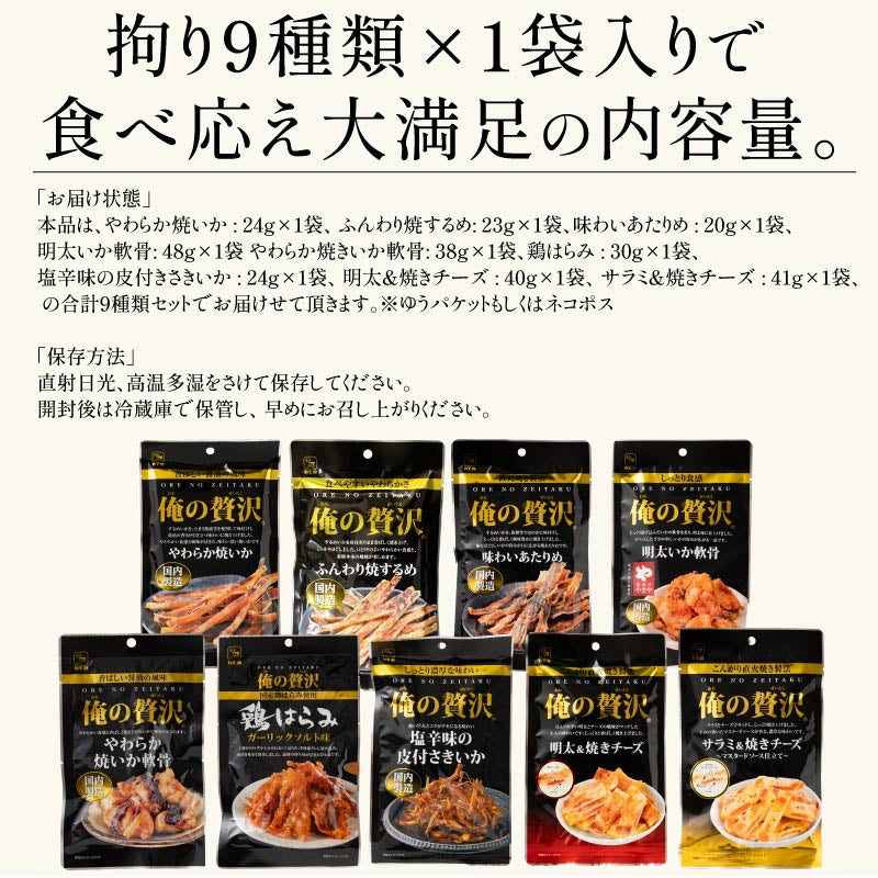 おつまみセット 9種 いか チーズ あたりめ 鶏はらみ 厳選 おつまみ 珍味 酒の肴 母の日 プレゼント ギフト  母の日思いの 健康 実用的 父の日 子供 孫 ※ポスト投函商品の発送は1～2週間前後になります