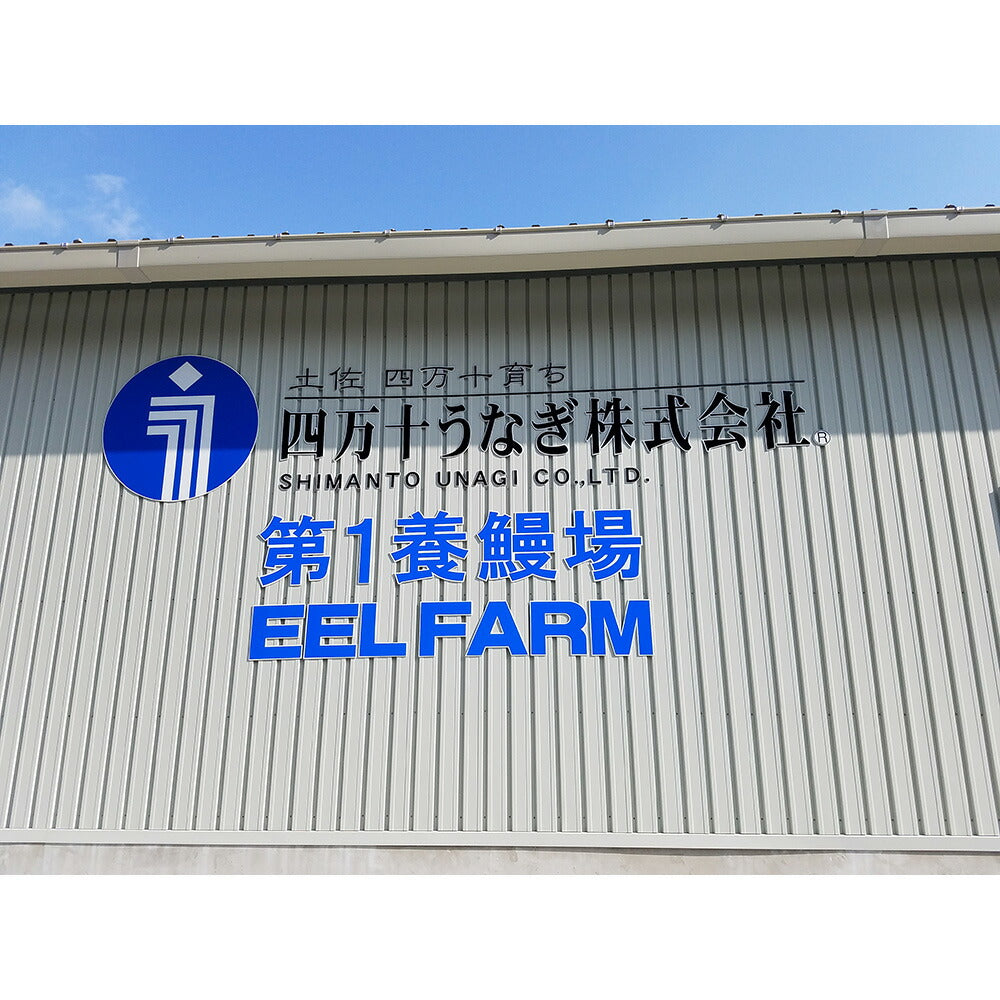 【3人シェア買いでお得】四万十うなぎ 蒲焼2尾セット【二重包装不可】