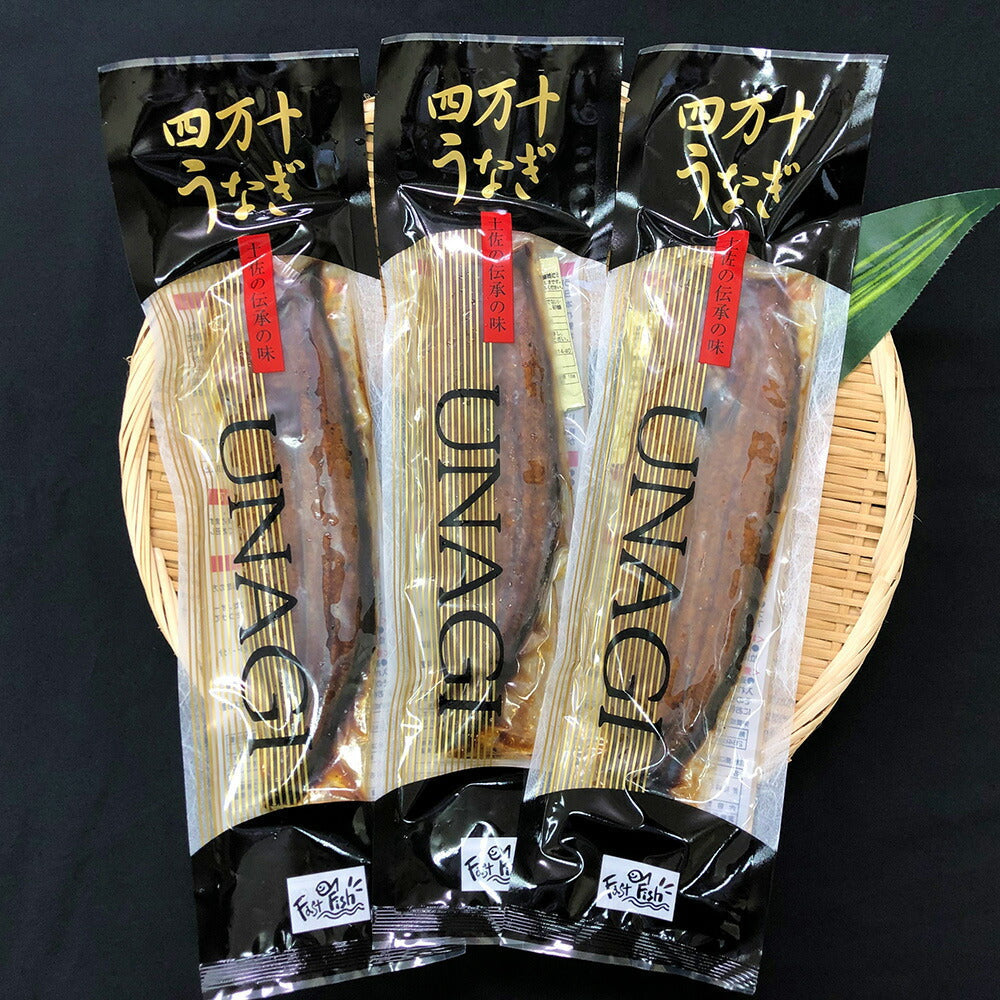 四万十うなぎ 蒲焼3尾セット【二重包装不可】