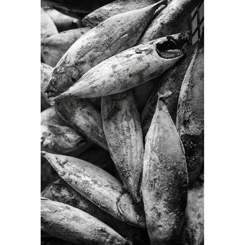 かつおめし食べ比べセット【お届け不可地域：北海道・東北・沖縄・離島】
