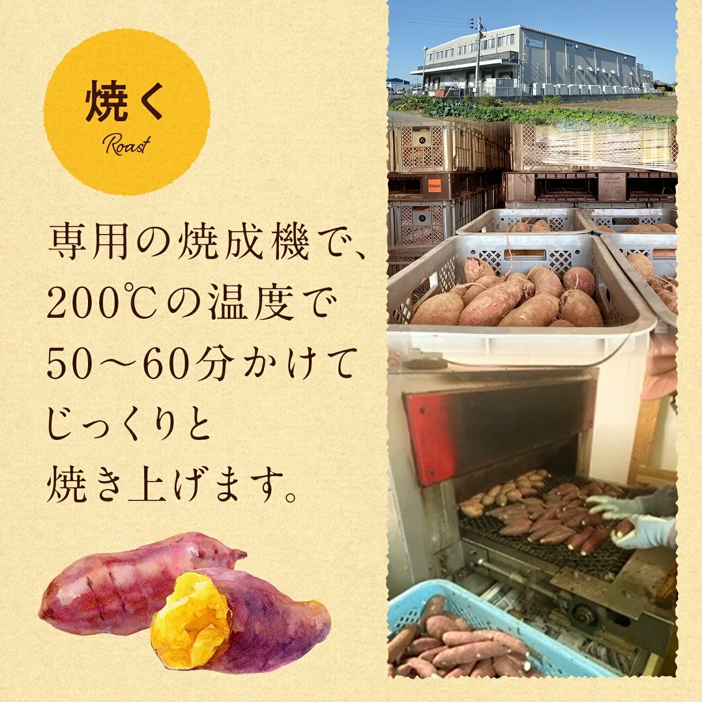 冷凍焼き芋（紅はるか） １kg×３袋（1袋あたり600円お得）