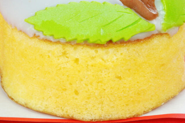 長崎県銘菓 長崎カステラ　大竹堂の桃カステラ（5個入り）【送料込み】