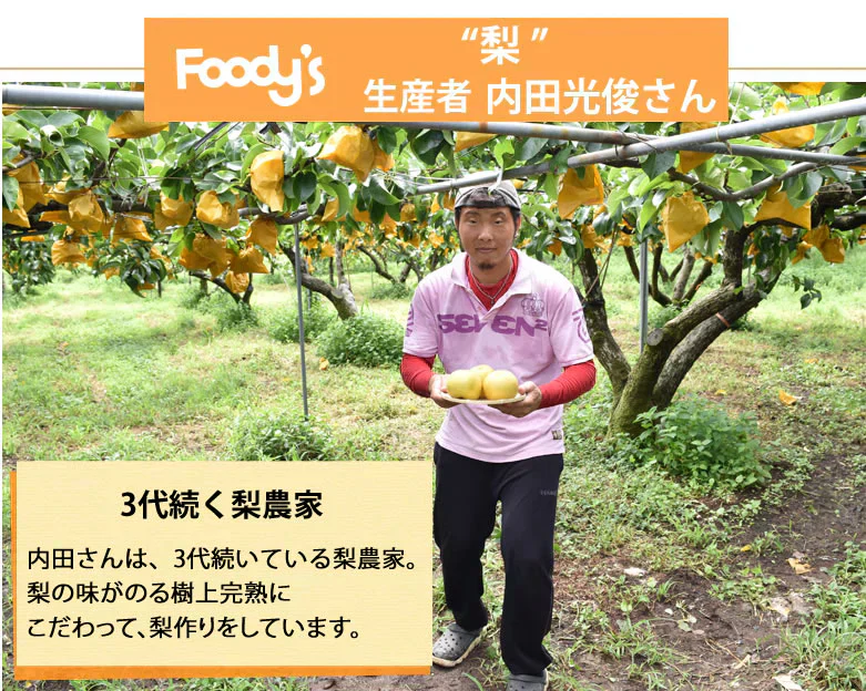 【9月中旬～下旬頃より順次出荷】梨 秋月 送料無料 秀品 約3kg 6〜10玉 熊本県産 お取り寄せ フルーツ ナシ なし 幸水 秋月 新高