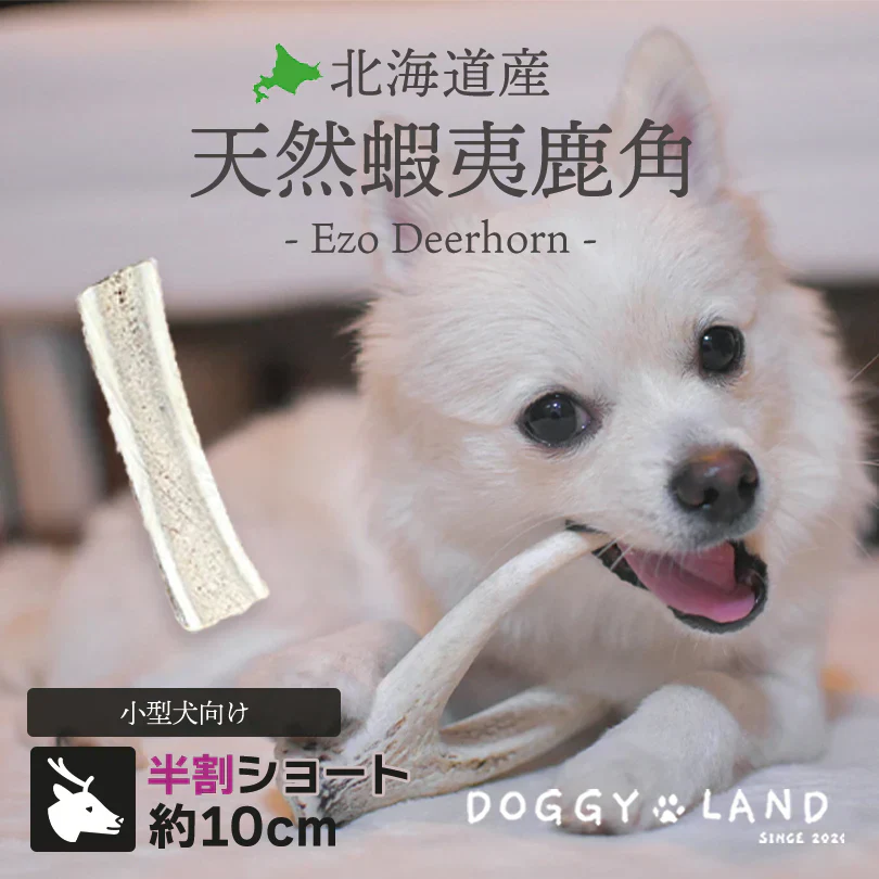 Deerhorn【半割ショート】 北海道産 鹿の角 鹿角 ペット 犬 おもちゃ 小型犬 半割 いたずら防止 おやつ デンタルケア ガム 天然 無添加