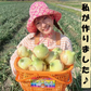 淡路島産ブランド新玉ねぎ 『にじたま』早生 一級品 5kgダンボール入り（ご家庭用・13個前後） 使いやすいL・2L・３L混在！