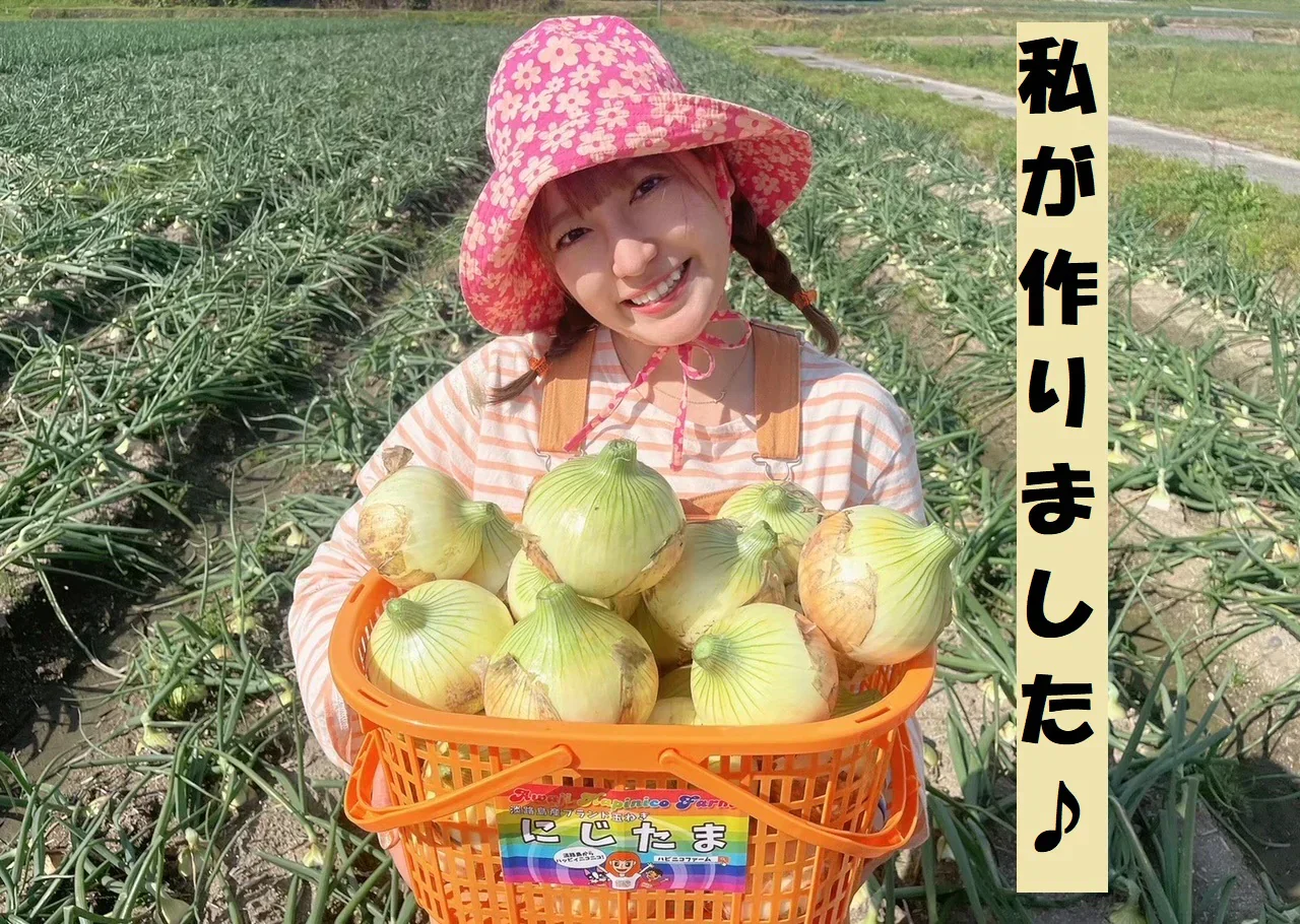 淡路島産ブランド新玉ねぎ 『にじたま』早生 一級品 5kgダンボール入り（ご家庭用・13個前後） 使いやすいL・2L・３L混在！