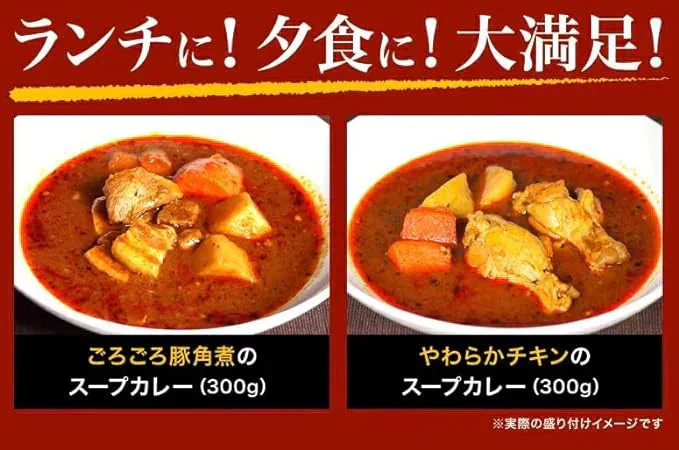 スープカレー 送料無料 2種入でお得 札幌極みスープカレー 10食 北海道 カレー レトルト 大容量 （チキン5食・豚角煮5食） ギフト