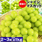 訳あり シャインマスカット 約1kg(2～3房) ご家庭用 お徳用 自宅用 お買い得 ぶどう 産地厳選 ブドウ 種無し 冷蔵便