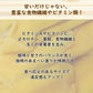【100g】ドライマンゴー ドライフルーツ お菓子 プレゼント フルーツティー 送料無料 ジュース 紅茶 プチギフト 非常食 保存食 キャンプ飯 行動食