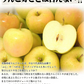 10月9日～発送！青森県産 りんご トキ 3kg箱 家庭用/訳あり ★トキ 家訳 3kg箱