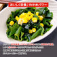 三陸産 カットわかめ 100g 常温便 ネコポス 送料無料
