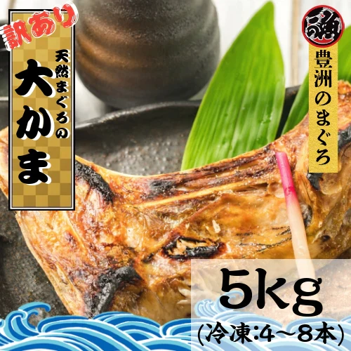 訳あり まぐろ 大かま　５ｋｇ  塩焼き イベント BBQ アウトドア メバチ マグロ